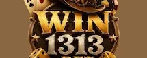 WIN1313